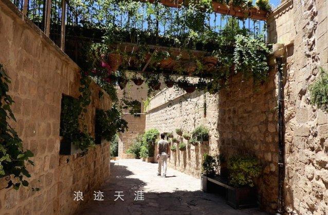 全民剧本大师内置菜单